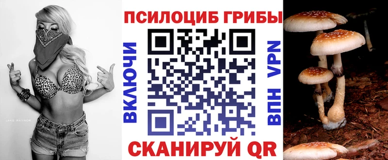 kraken ссылки  Дербент  Галлюциногенные грибы ЛСД 